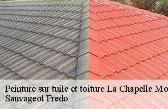 Peinture sur tuile et toiture la-chapelle-moutils-77320 Sauvageot Fredo