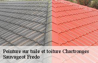 Peinture sur tuile et toiture chartronges-77320 Sauvageot Fredo