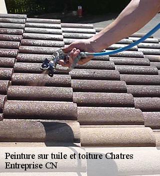 Peinture sur tuile et toiture  77610