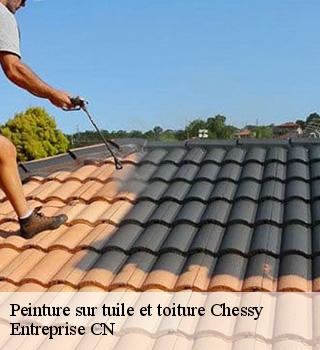 Peinture sur tuile et toiture 77700