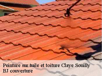 Peinture sur tuile et toiture  claye-souilly-77410 BJ couverture