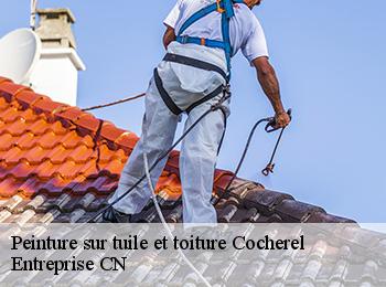 Peinture sur tuile et toiture cocherel-77440 Entreprise CN