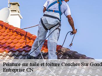 Peinture sur tuile et toiture  conches-sur-gondoire-77600 Entreprise CN