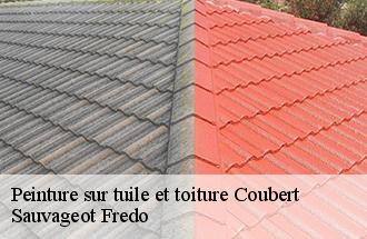 Peinture sur tuile et toiture coubert-77170 Sauvageot Fredo