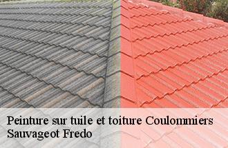 Peinture sur tuile et toiture coulommiers-77120 Sauvageot Fredo