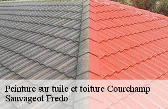 Peinture sur tuile et toiture courchamp-77560 Sauvageot Fredo