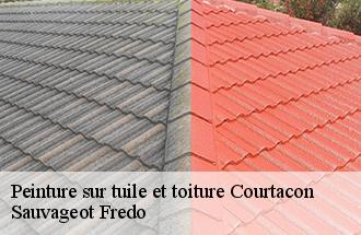 Peinture sur tuile et toiture courtacon-77560 Sauvageot Fredo