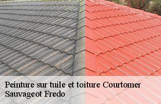 Peinture sur tuile et toiture courtomer-77390 Sauvageot Fredo