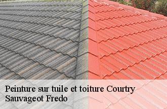 Peinture sur tuile et toiture  courtry-77181 Sauvageot Fredo