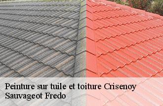 Peinture sur tuile et toiture  crisenoy-77390 Sauvageot Fredo