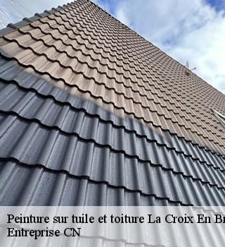 Peinture sur tuile et toiture  77370