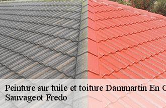 Peinture sur tuile et toiture dammartin-en-goele-77230 Sauvageot Fredo