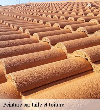 Peinture sur tuile et toiture 77140