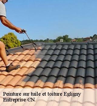 Peinture sur tuile et toiture 77126