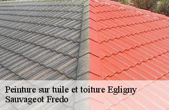 Peinture sur tuile et toiture egligny-77126 Sauvageot Fredo