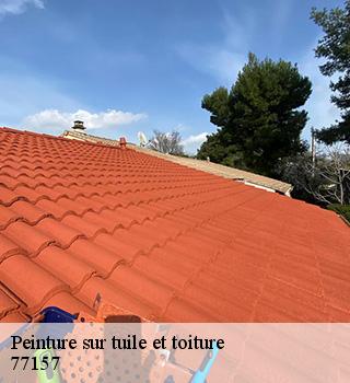 Peinture sur tuile et toiture 77157