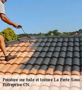Peinture sur tuile et toiture 77260