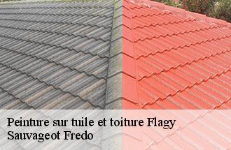 Peinture sur tuile et toiture  flagy-77940 BJ couverture