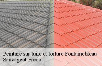 Peinture sur tuile et toiture  fontainebleau-77300 BJ couverture