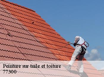 Peinture sur tuile et toiture  77300