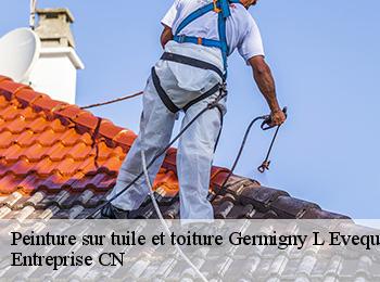Peinture sur tuile et toiture germigny-l-eveque-77910 Entreprise CN