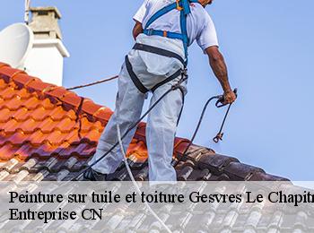 Peinture sur tuile et toiture  gesvres-le-chapitre-77165 Entreprise CN