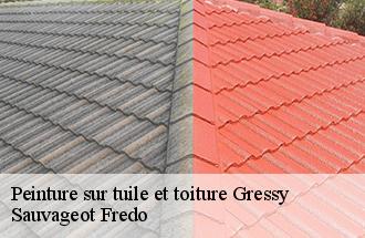 Peinture sur tuile et toiture gressy-77410 Sauvageot Fredo
