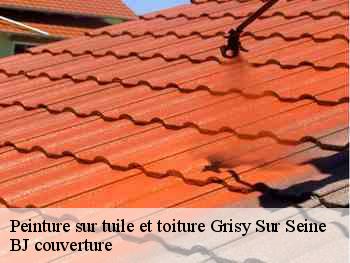 Peinture sur tuile et toiture  grisy-sur-seine-77480 BJ couverture