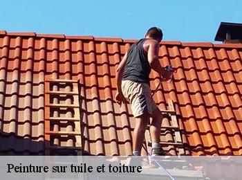 Peinture sur tuile et toiture