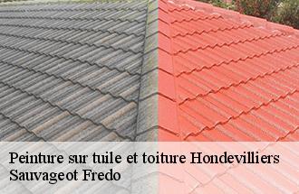 Peinture sur tuile et toiture  hondevilliers-77510 Sauvageot Fredo