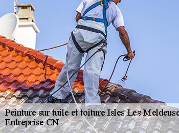 Peinture sur tuile et toiture  isles-les-meldeuses-77440 Entreprise CN