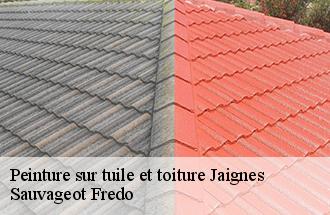 Peinture sur tuile et toiture jaignes-77440 BJ couverture