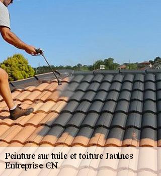 Peinture sur tuile et toiture 77480