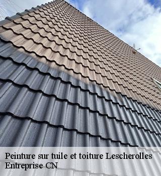 Peinture sur tuile et toiture 77320