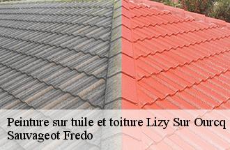 Peinture sur tuile et toiture lizy-sur-ourcq-77440 Sauvageot Fredo