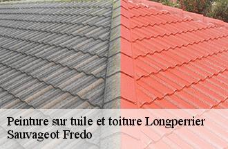 Peinture sur tuile et toiture longperrier-77230 Sauvageot Fredo