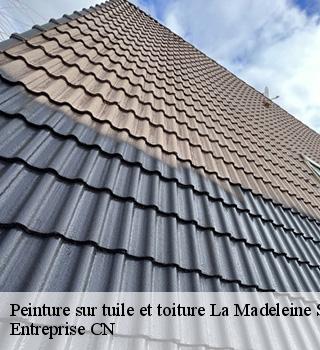 Peinture sur tuile et toiture 77570