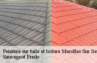 Peinture sur tuile et toiture  marolles-sur-seine-77130 BJ couverture