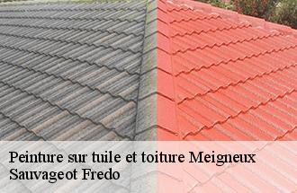 Peinture sur tuile et toiture  meigneux-77520 Sauvageot Fredo