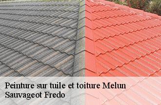 Peinture sur tuile et toiture melun-77000 Sauvageot Fredo