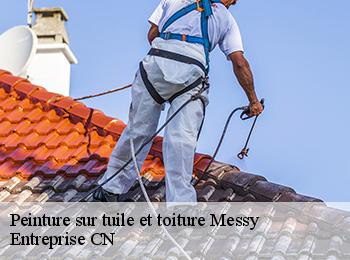 Peinture sur tuile et toiture messy-77410 Entreprise CN