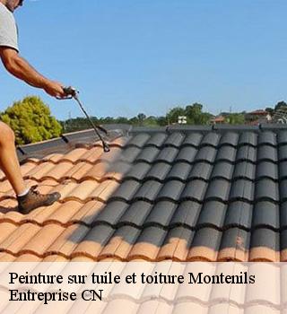 Peinture sur tuile et toiture 77320