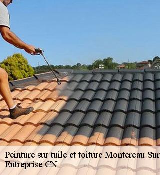 Peinture sur tuile et toiture 77950