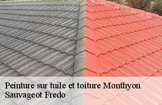 Peinture sur tuile et toiture monthyon-77122 Sauvageot Fredo
