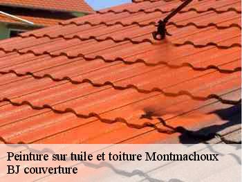 Peinture sur tuile et toiture  montmachoux-77940 BJ couverture