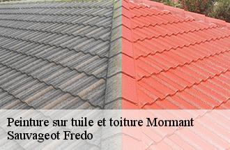 Peinture sur tuile et toiture  mormant-77720 BJ couverture