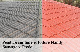 Peinture sur tuile et toiture  nandy-77176 Sauvageot Fredo