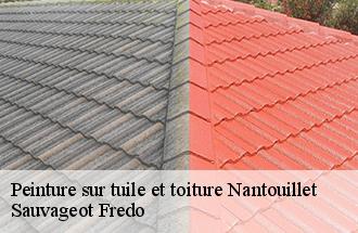 Peinture sur tuile et toiture nantouillet-77230 Sauvageot Fredo