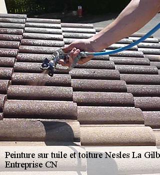 Peinture sur tuile et toiture  77540