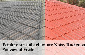 Peinture sur tuile et toiture  noisy-rudignon-77940 Sauvageot Fredo
